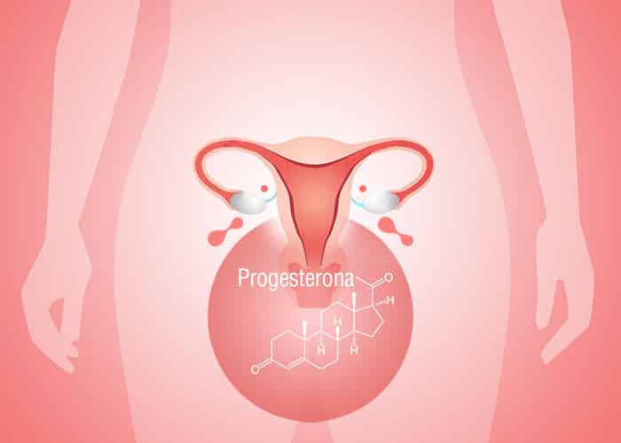 Para Que Es La Progesterona En El Embarazo Actualizado Agosto 2024
